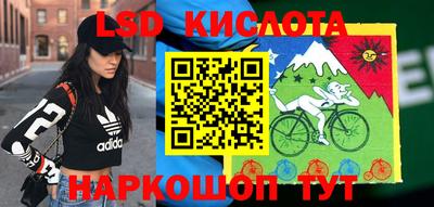 a pvp Краснознаменск