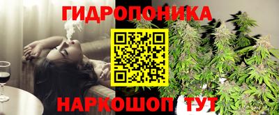 a pvp Краснознаменск