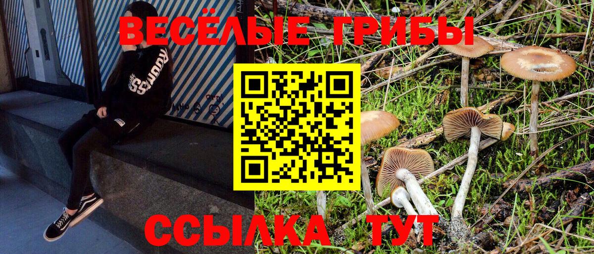 Псилоцибиновые грибы мицелий Ефремов